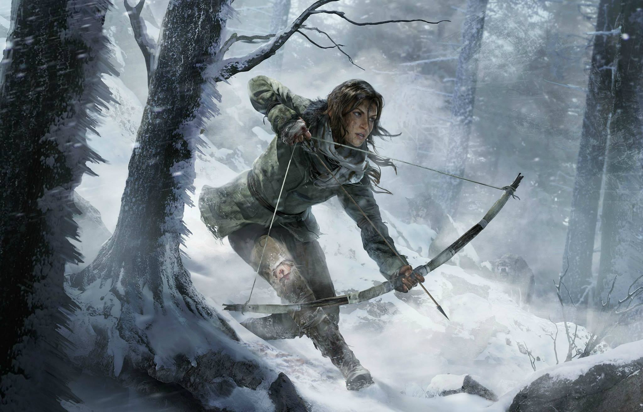 rise of the tomb raider pc recommended requirements