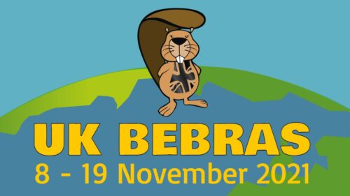 The UK Bebras Challenge 2021 runs from 8 to 19 November.