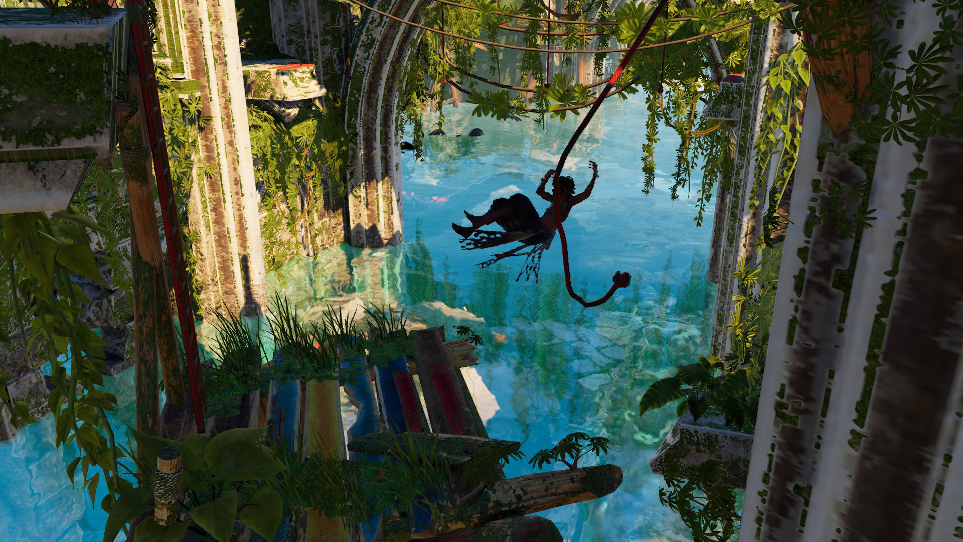 swinging on a vine