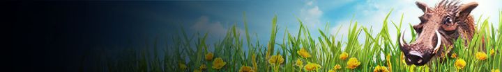 Image of a brown warthog in a green field with yellow flowers and a navy blue and sky-blue background.