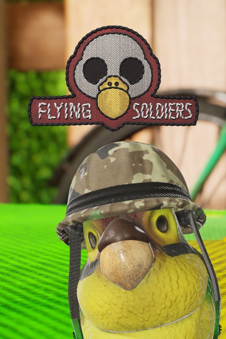 Flying Soldiers Box Art